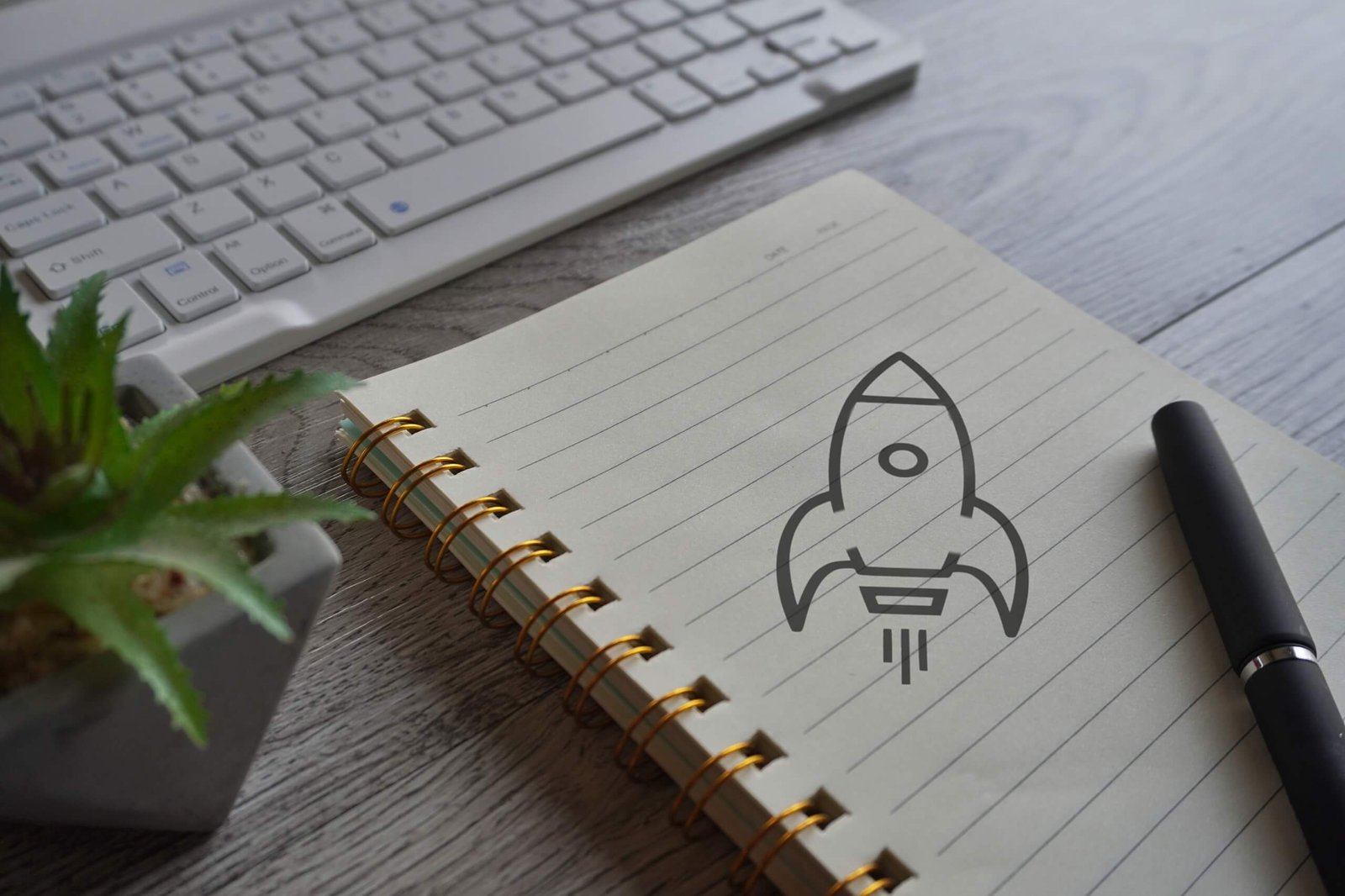 Egyéni vállalkozás indítása